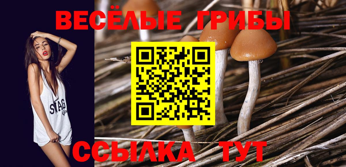 Галлюциногенные грибы GOLDEN TEACHER Изобильный